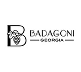 логотип Badagoni