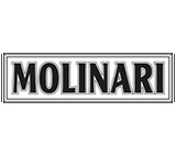 логотип Molinari
